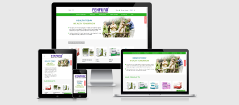 SWS-fenfuro website development